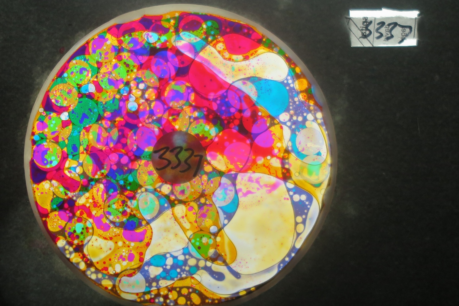 BV3337 bubble vision oil wheel